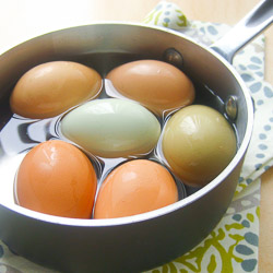 Hard-cooked Eggs / JillHough.com