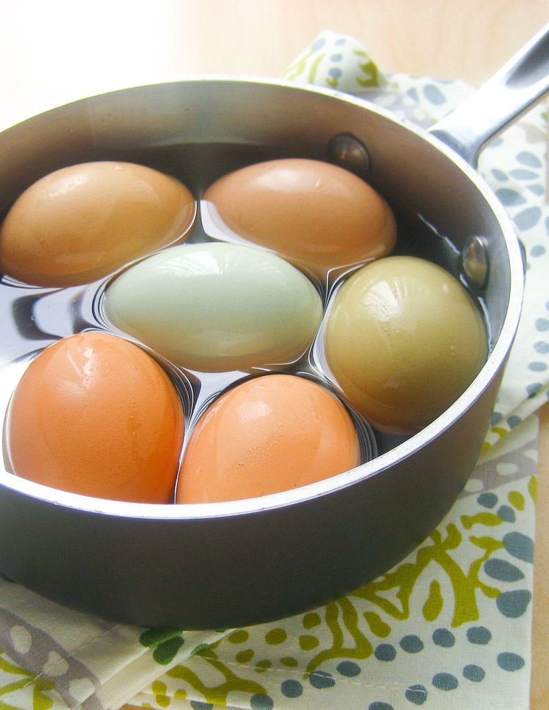Hard-cooked Eggs / JillHough.com