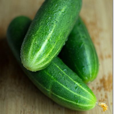 Cucumbers on JillHough.com