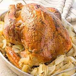 Thanksgiving Turkey / Jill Silverman Hough