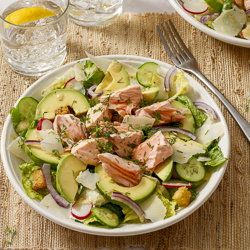 Salmon and Avocado Caesar Salad / JillHough.com A classic Caesar embellished with hunks of salmon and avocado, plus cucumber, radishes, and onion. It ticks all the boxes and more. #salmon #caesar #caesarsalad #avocado #dinnersalad #mealsalad #fish #fishandseafood #ceasarsalad #ceasar