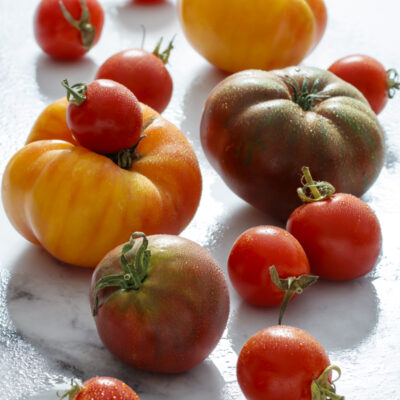 What a tomato's color can tell you about its flavor / JillHough.com #tomatoes #heirloomtomatoes #tomatoflavor #yellowtomatoes #purpletomatoes #redtomatoes #colorful tomatoes
